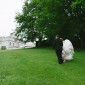 Kingston Maurward Wedding Photographer Dorset 266