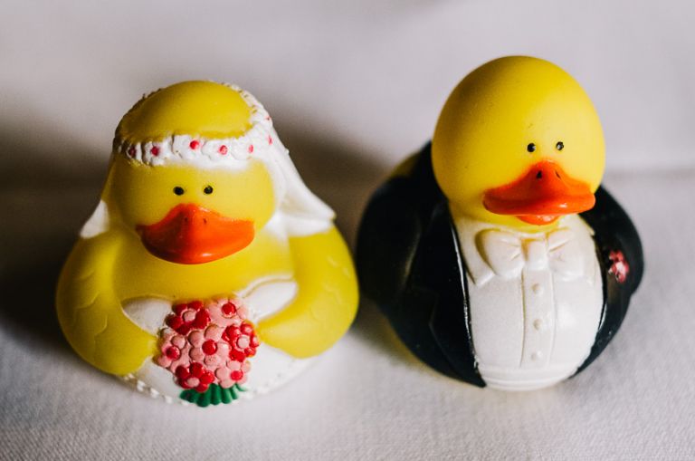 rhinefield house hotel hampshire wedding photographer wedding ducks