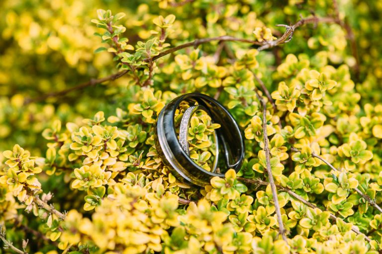 dorset-wedding-photographer-langton-arms-tp-photography-1