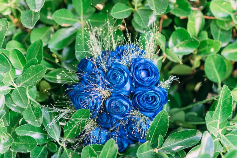 kings-arms-hotel-christchurch-wedding-photographer-16