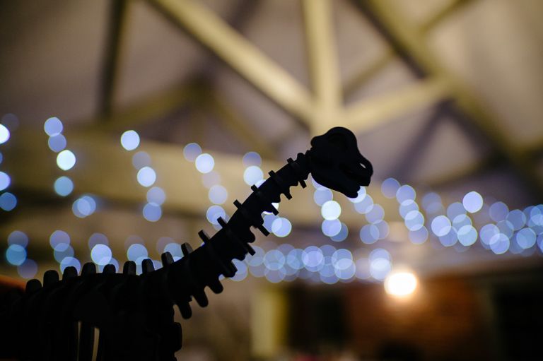 Jo and Andy dinosaur themed winter wedding at sopley mill dinosaur silhouette