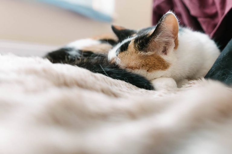 Sigma 18-35 ultimate aps-combination with sony a6300