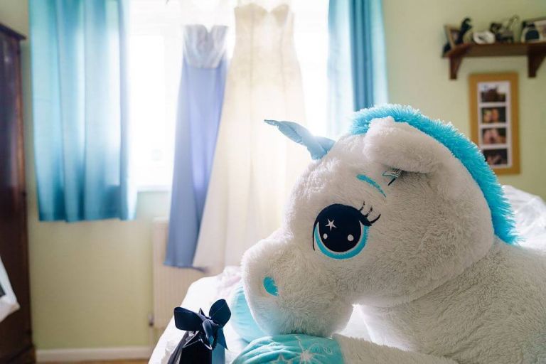 Kingston Maurward Wedding Photography